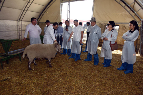 Kırgız veteriner hekimler AKÜ Veteriner Fakültesi’ni ziyaret etti